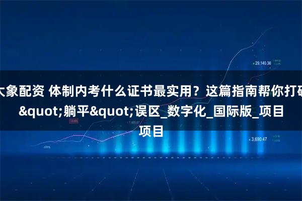 大象配资 体制内考什么证书最实用？这篇指南帮你打破"躺平"误区_数字化_国际版_项目
